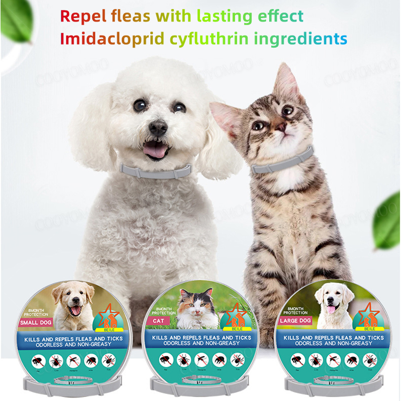 Kalung anjing Anti kutu dan le - Pet Immune Pir Sensor ulasan dan harga