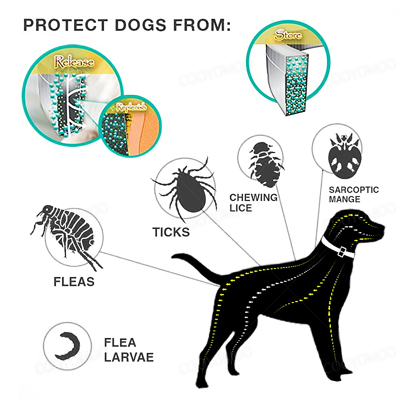 Kalung anjing Anti kutu dan le - Pet Immune Pir Sensor ulasan dan harga
