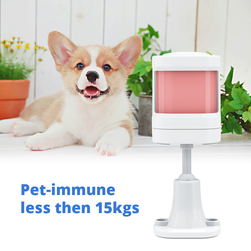 P20 Alarm Detektor Inframerah  - Pet Immune Pir Sensor ulasan dan harga